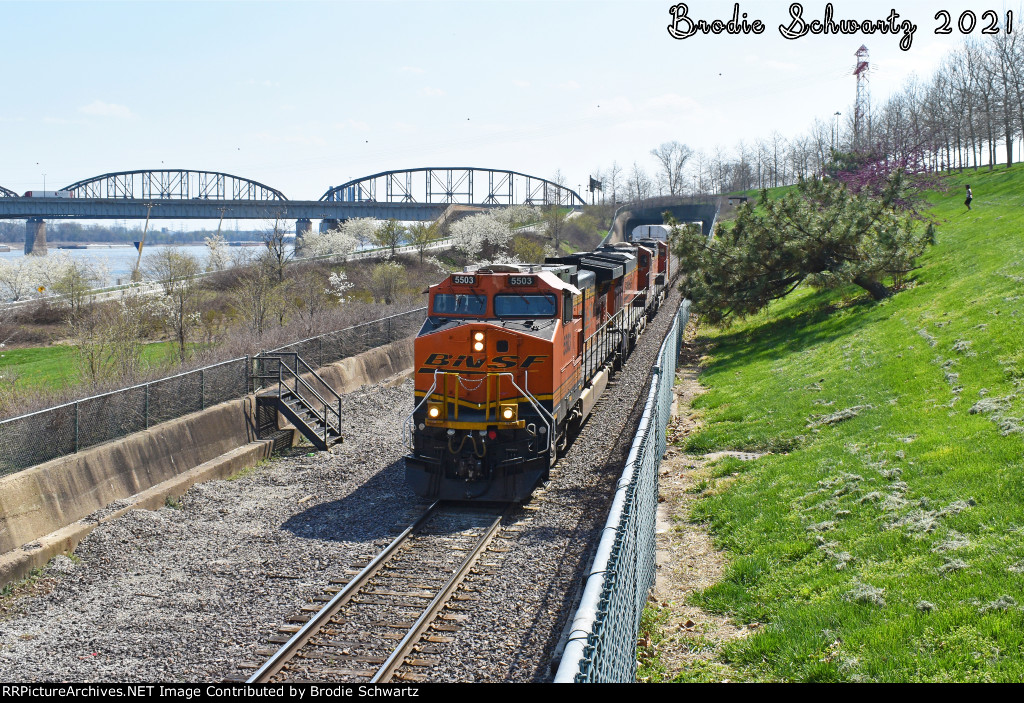 BNSF 5503